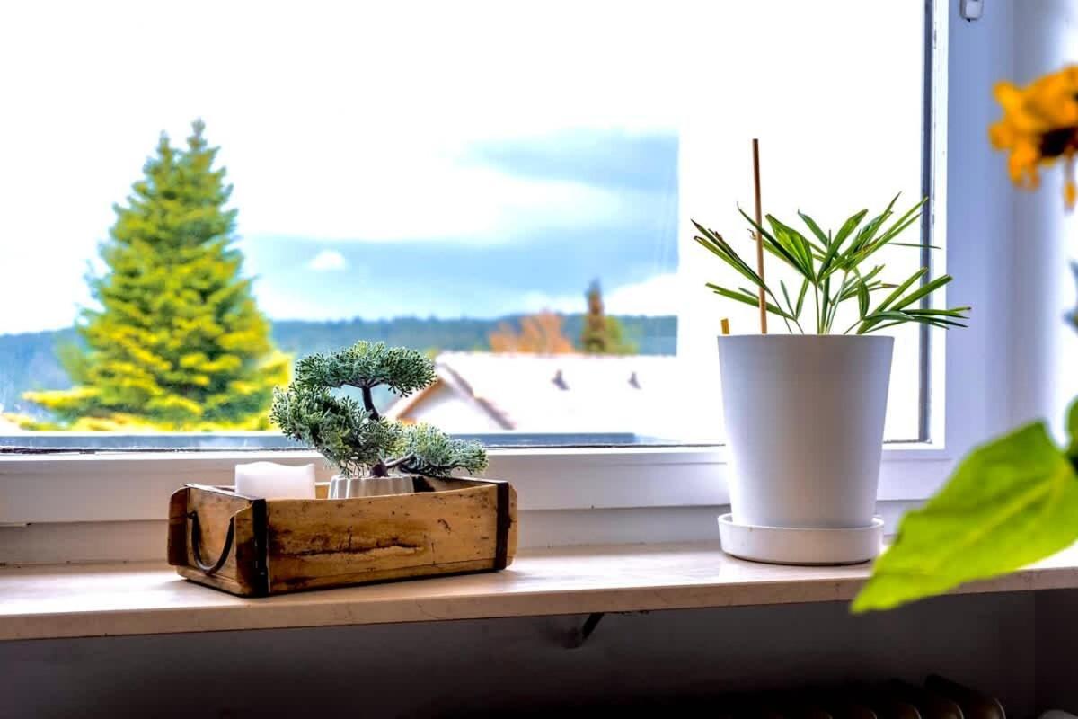 Relaxapartments Black Forest Nature Mit Beheiztem Indoor-Pool Und Sauna - Sonnenbalkon Mit Blick Ins Gruene, Schnelles Internet, Naehe Triberger Wasserfaelle, Fuer Bis Zu 2 Personen Schönwalde Exterior foto
